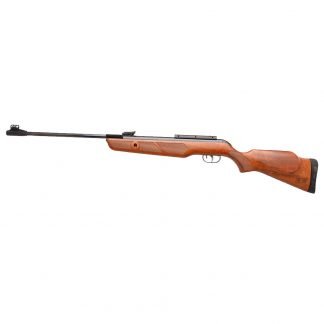 Rifle Aire Comprimido Gamo Hunter SE IGT