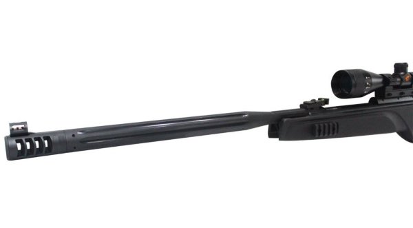 gamo-Hpa-mi-canon