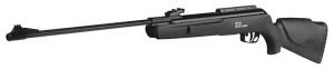 gamo big cat 1000