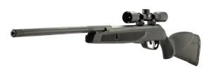 rifle gamo 5.5 big cat 1250